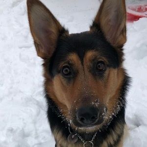 Meet your Posher, Christian